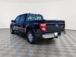 2023 F-150 Thumbnail 5