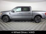 2023 F-150 Thumbnail 8