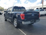 2023 F-150 Thumbnail 7