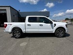 2023 F-150 Thumbnail 2