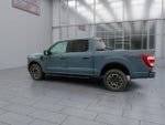 2023 F-150 Thumbnail 6