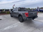 2023 F-150 Thumbnail 7
