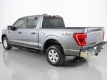 2023 F-150 Thumbnail 8
