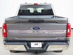 2023 F-150 Thumbnail 11