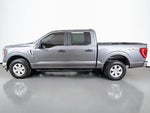 2023 F-150 Thumbnail 12
