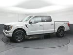 2023 F-150 Thumbnail 4