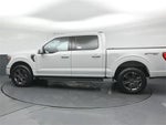 2023 F-150 Thumbnail 5