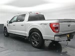 2023 F-150 Thumbnail 6