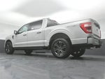 2023 F-150 Thumbnail 43
