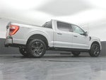 2023 F-150 Thumbnail 44
