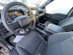 2023 F-150 Thumbnail 12