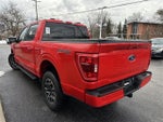 2023 F-150 Thumbnail 15