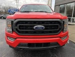 2023 F-150 Thumbnail 19