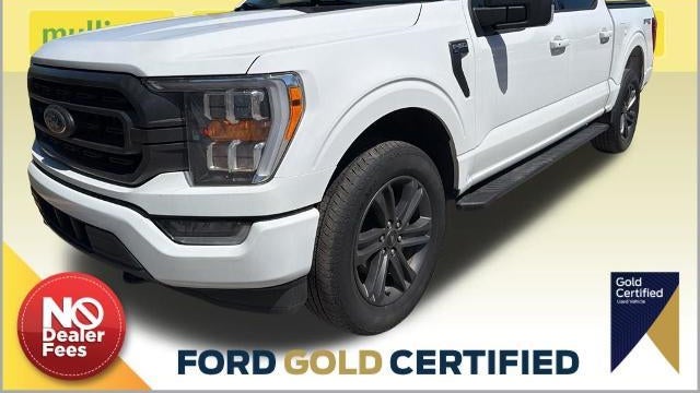 Preowned 2023 Ford F-150 XL for Sale