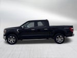 2023 F-150 Thumbnail 4