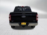2023 F-150 Thumbnail 6