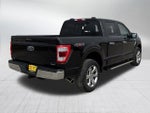 2023 F-150 Thumbnail 7