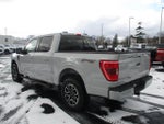 2023 F-150 Thumbnail 10