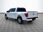 2023 F-150 Thumbnail 7