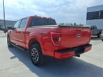 2023 F-150 Thumbnail 3