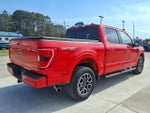 2023 F-150 Thumbnail 5