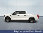 2023 F-150 Thumbnail 12