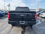 2023 F-150 Thumbnail 6