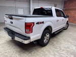 2017 F-150 Thumbnail 5
