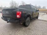 2017 F-150 Thumbnail 5