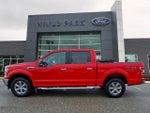 2019 F-150 Thumbnail 4
