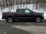 2019 F-150 Thumbnail 5