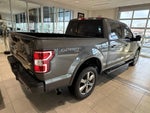 2019 F-150 Thumbnail 3