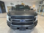 2019 F-150 Thumbnail 8