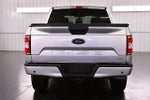 2019 F-150 Thumbnail 6