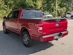 2019 F-150 Thumbnail 6