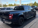 2019 F-150 Thumbnail 2