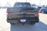 2019 F-150 Thumbnail 6