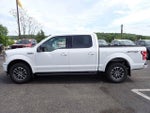 2019 F-150 Thumbnail 2