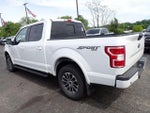 2019 F-150 Thumbnail 4