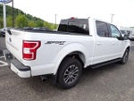 2019 F-150 Thumbnail 6