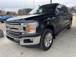 2019 F-150 Thumbnail 3