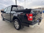 2019 F-150 Thumbnail 5