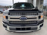 2019 F-150 Thumbnail 11