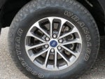 2019 F-150 Thumbnail 10
