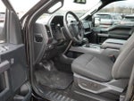 2019 F-150 Thumbnail 11
