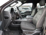 2019 F-150 Thumbnail 12