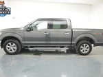 2019 F-150 Thumbnail 4