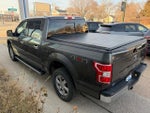 2019 F-150 Thumbnail 12