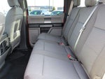 2020 F-150 Thumbnail 6