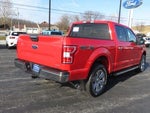 2020 F-150 Thumbnail 7